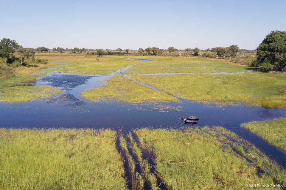 okavango delta