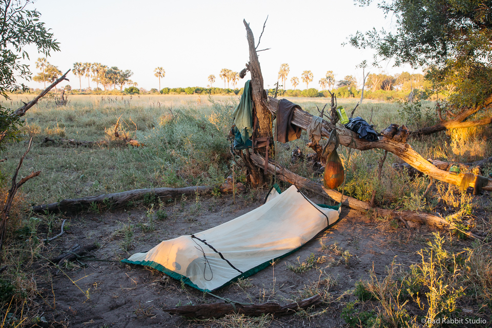 okavango delta