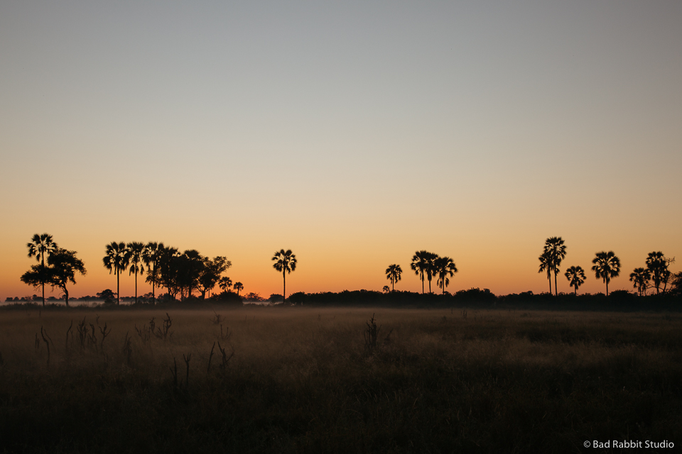 okavango delta