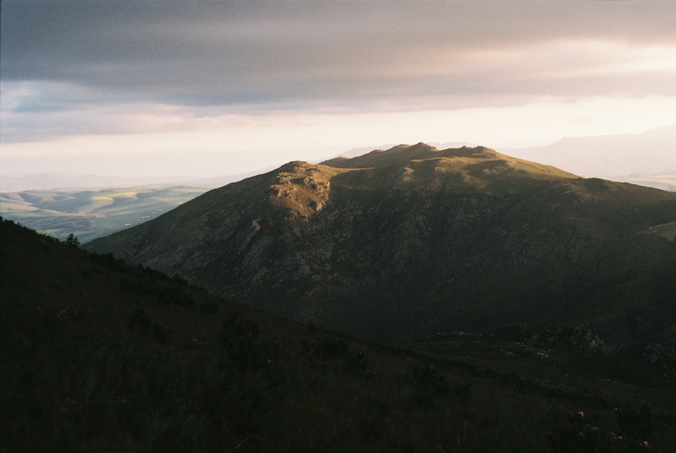 film-camera