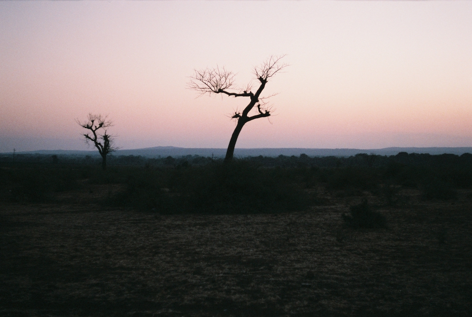 film-camera