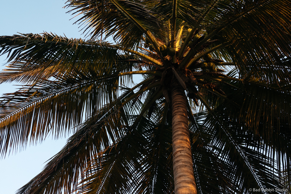 Mozambique