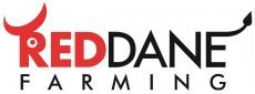 badrabbitStudio Partners