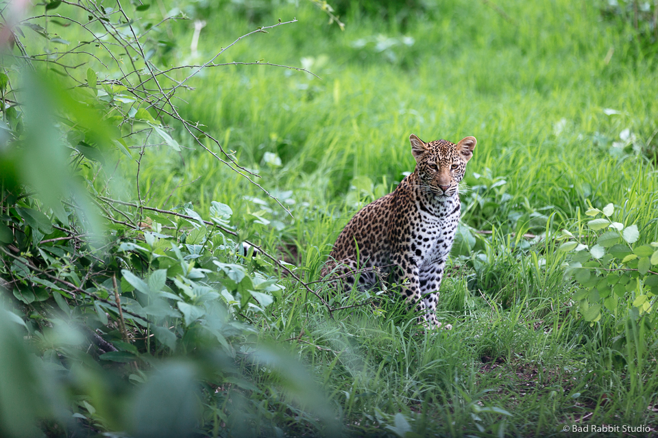 zambia travel